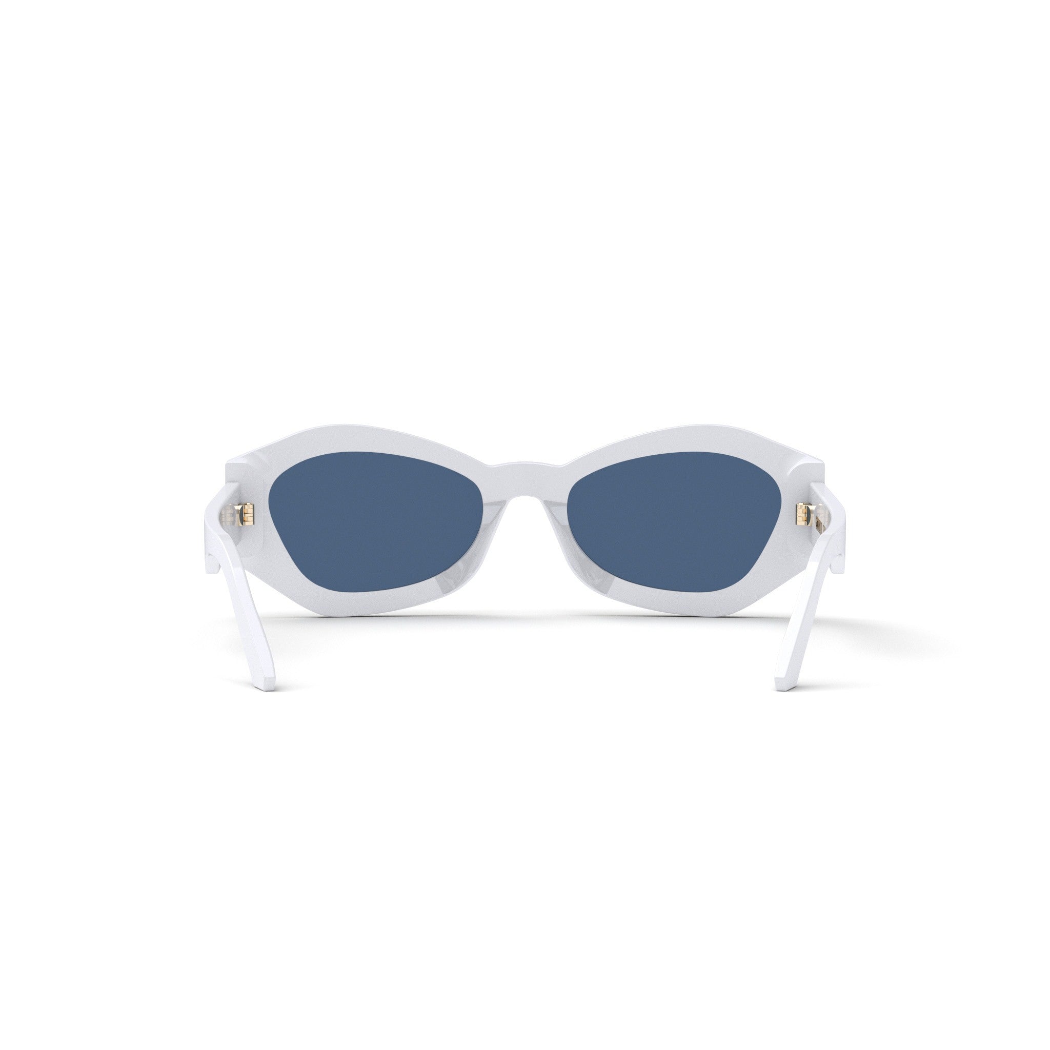 DIOR - DIORSIGNATURE B1U SUNGLASSES