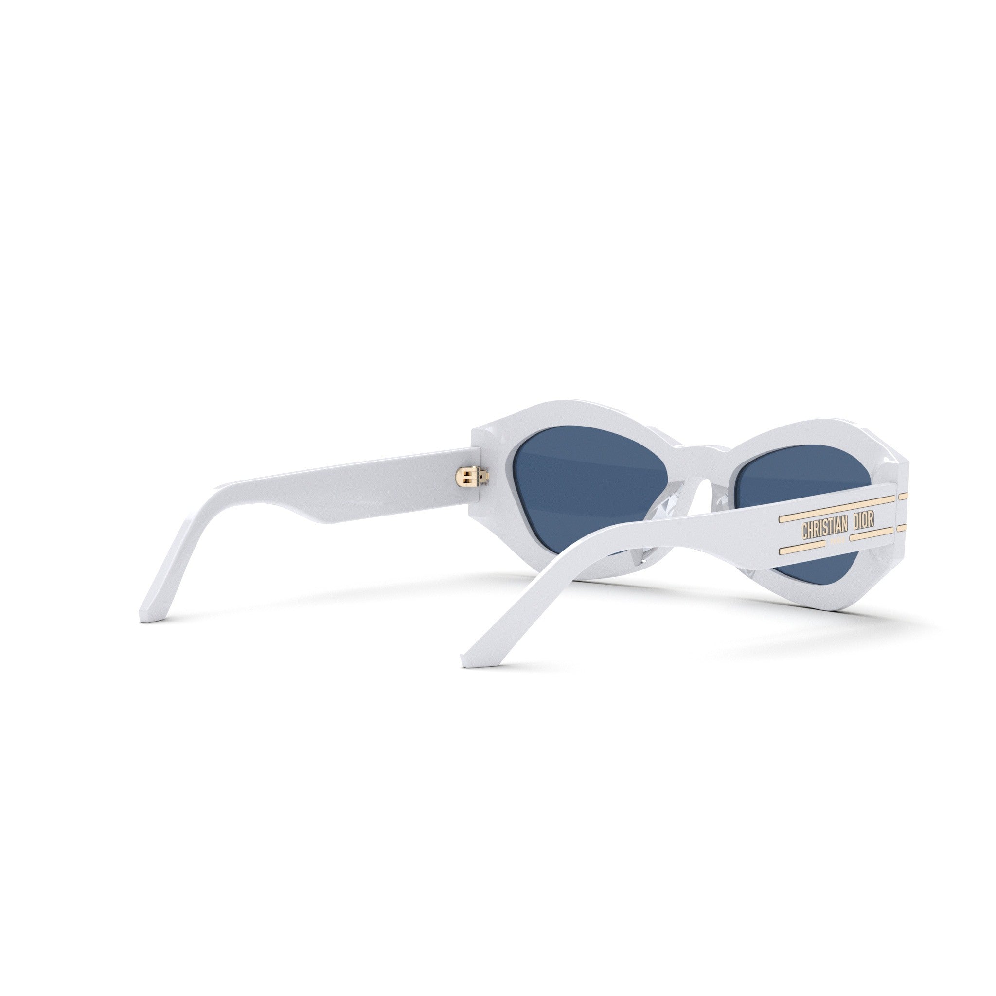 Diorsignature B1U