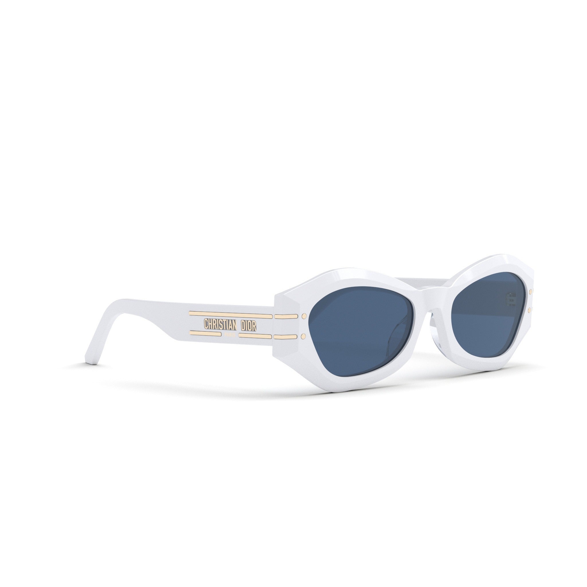 Diorsignature B1U