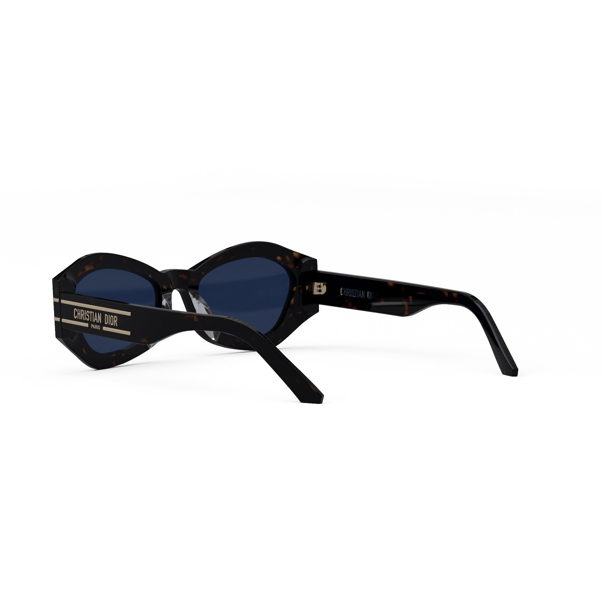 Diorsignature B1U