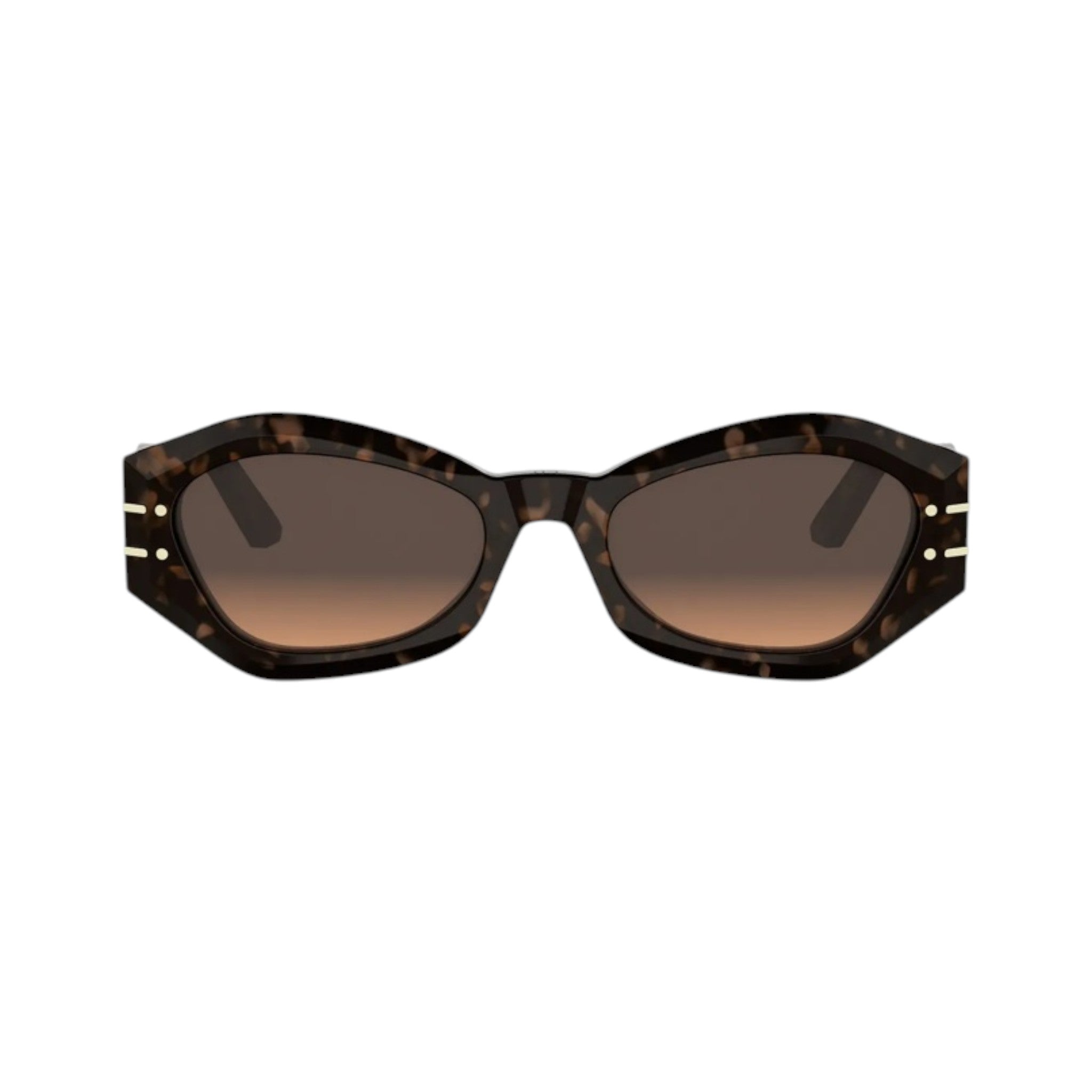 Diorsignature B1U
