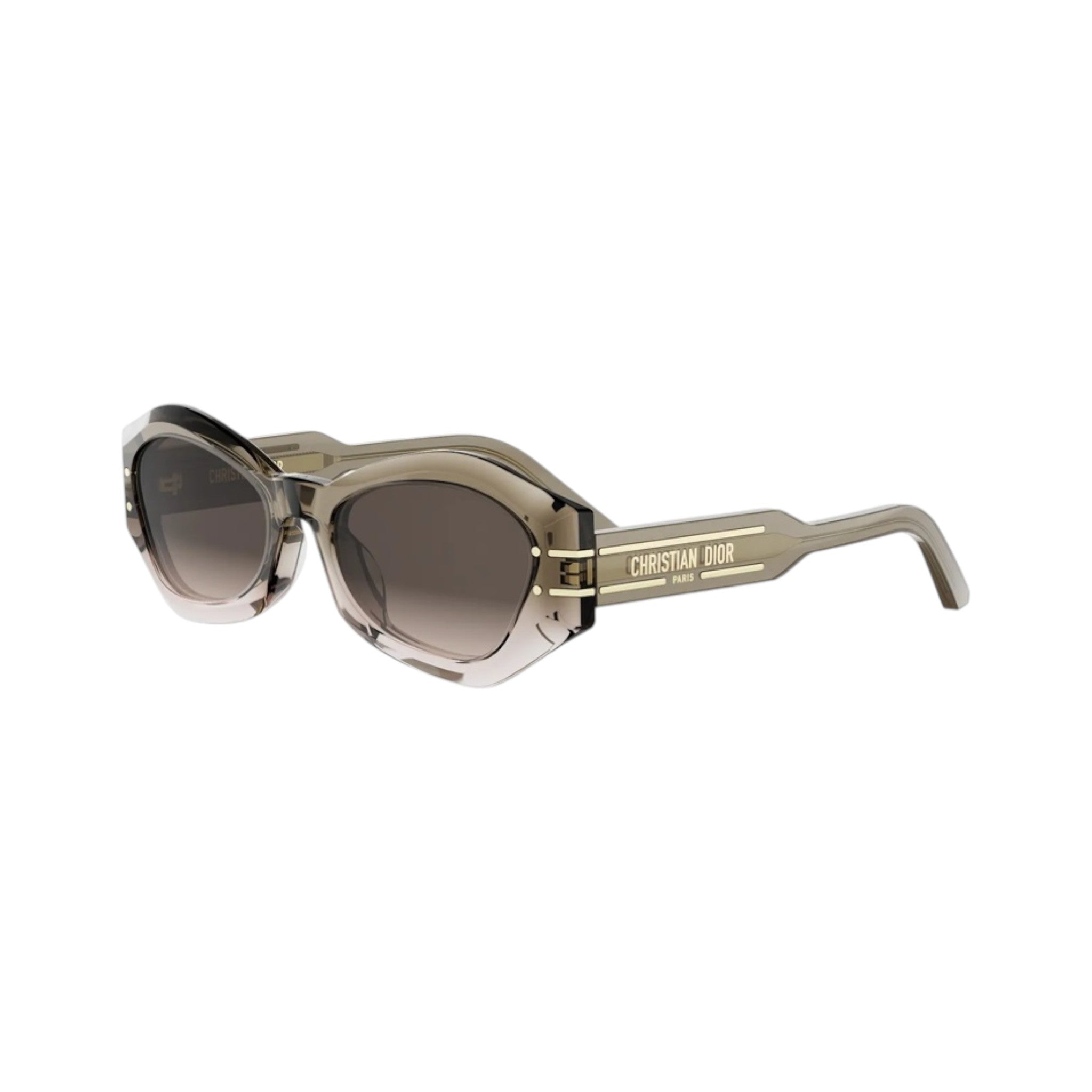 Diorsignature B1U