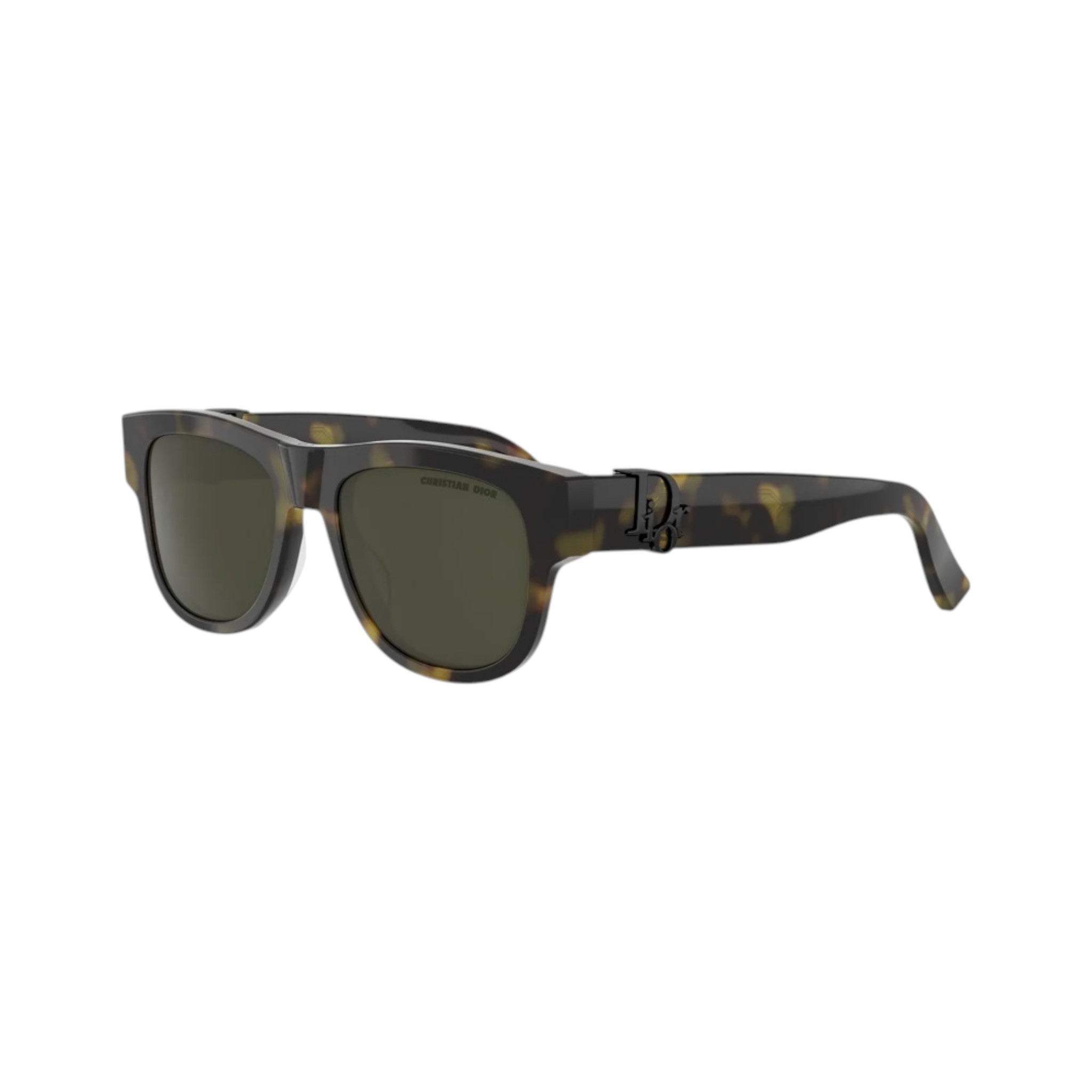 Dior Oblique S4I