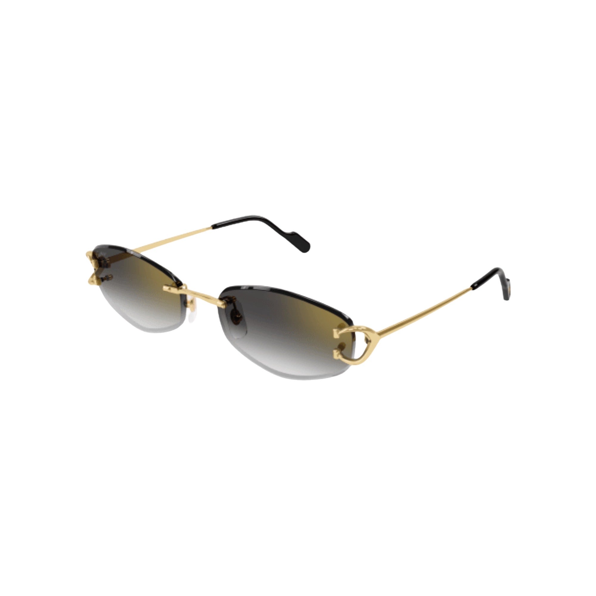 Cartier CARTIER - CT0467S OCCHIALI DA SOLE Ottica Azzurro Capri