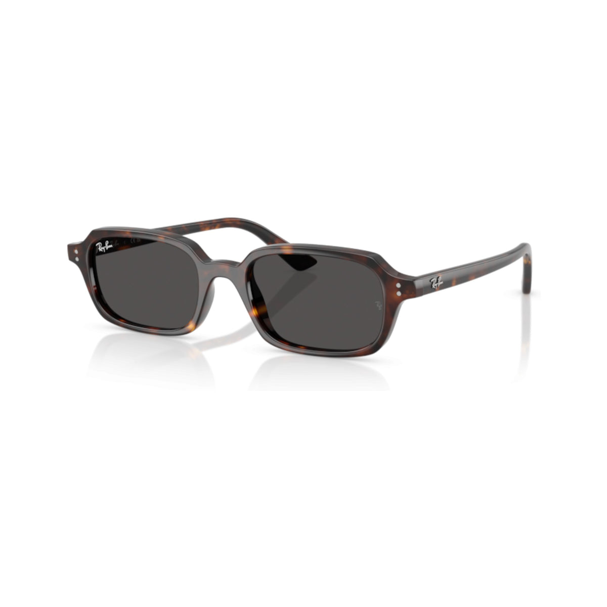 RAYBAN - RB4455 OCCHIALI DA SOLE
