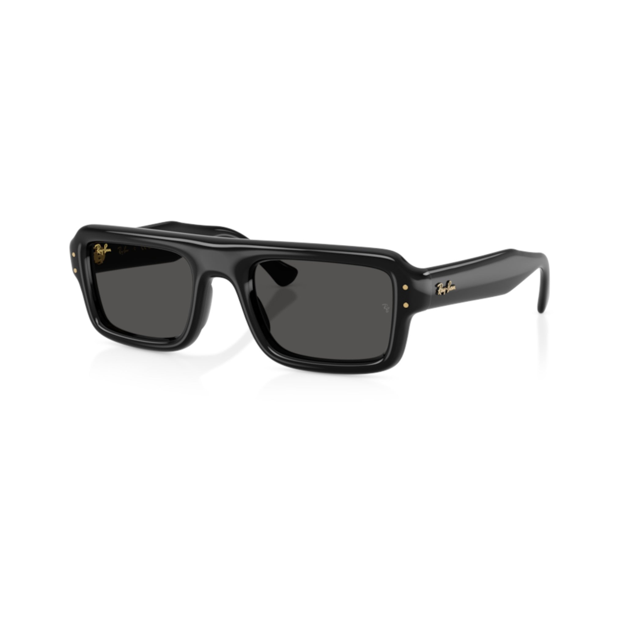 RAYBAN - RB4954 BY A$AP ROCKY OCCHIALI DA SOLE
