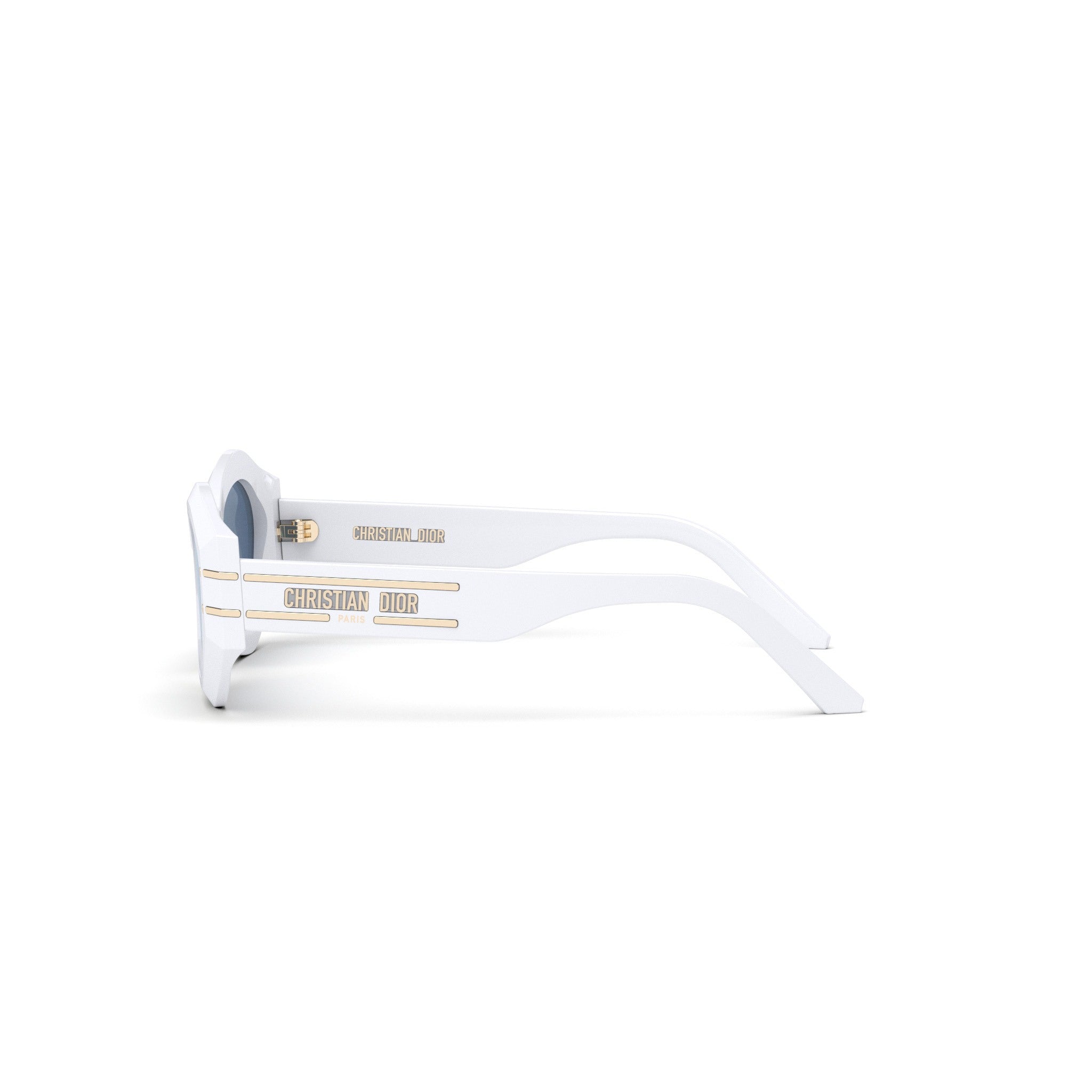 Diorsignature B1U