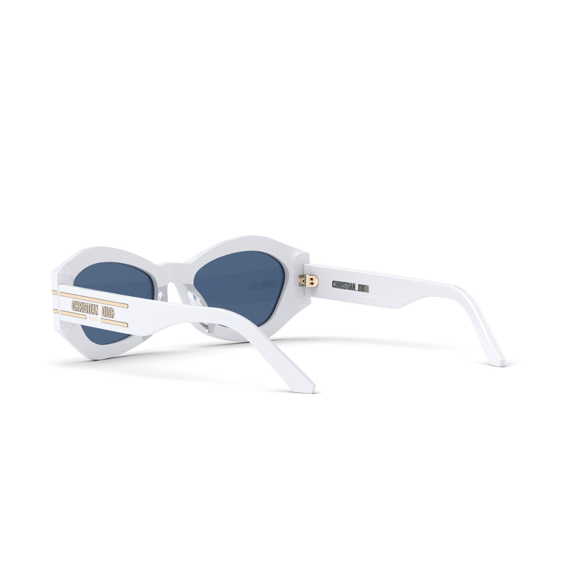 Diorsignature B1U