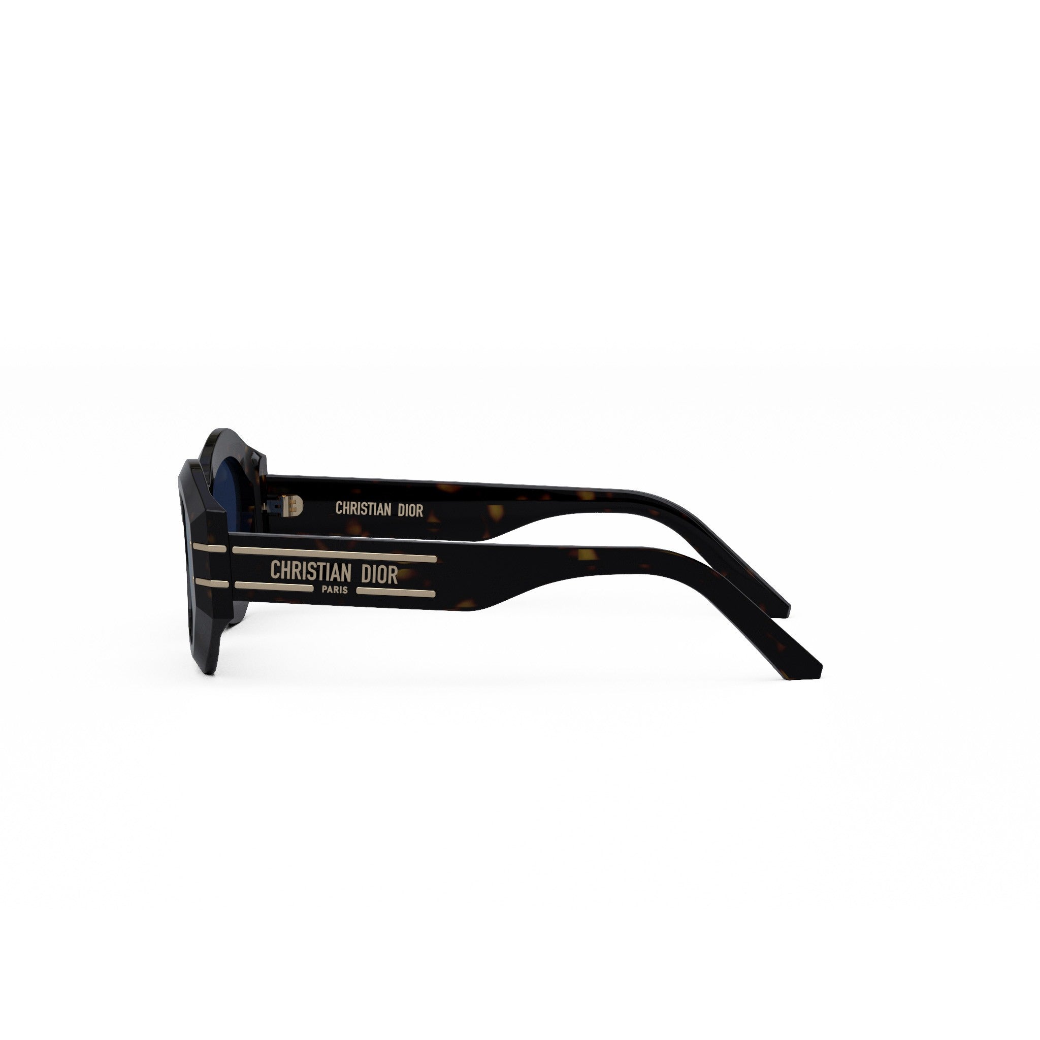 Diorsignature B1U