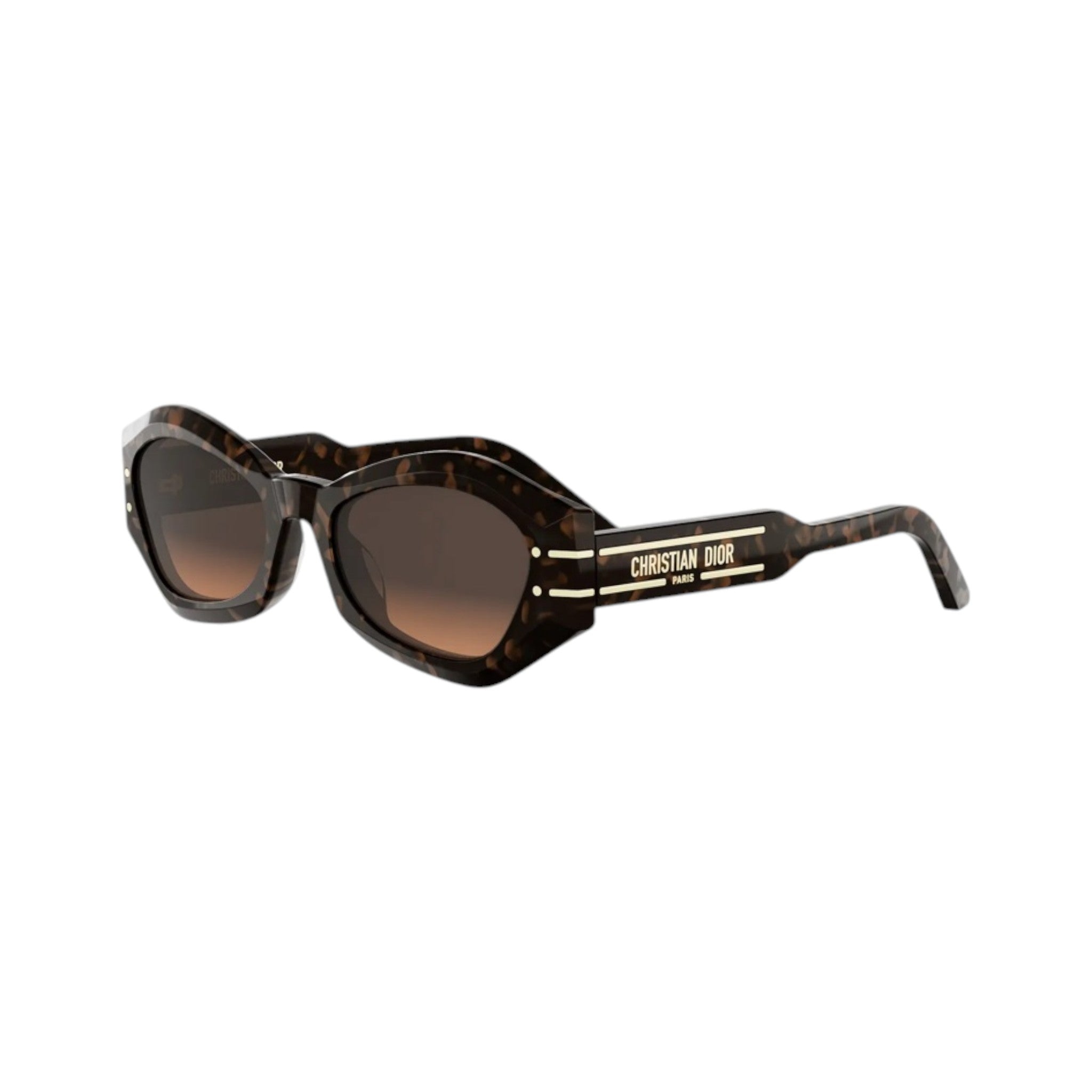 Diorsignature B1U